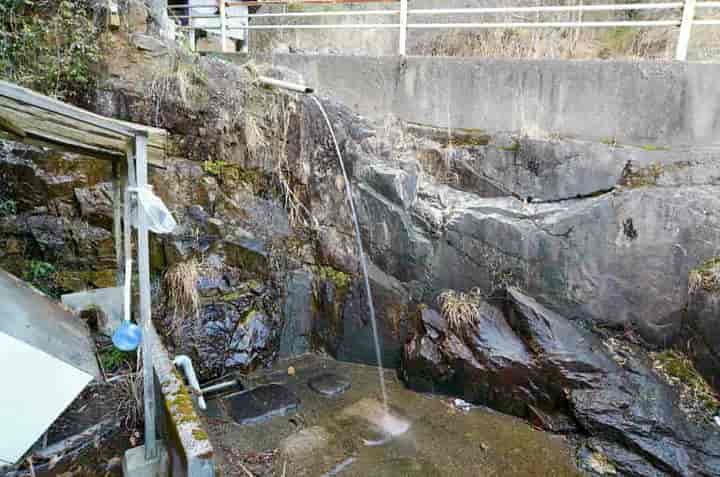 �␅�s���̑�E�S�i